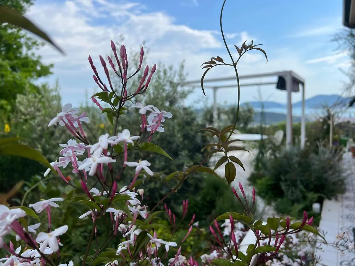 Camera Hortensia by Le Rose La Spezia Maison d'hôtes